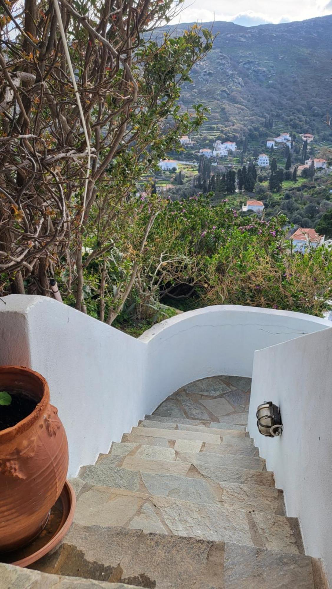 Eirini Home Ándros Kültér fotó